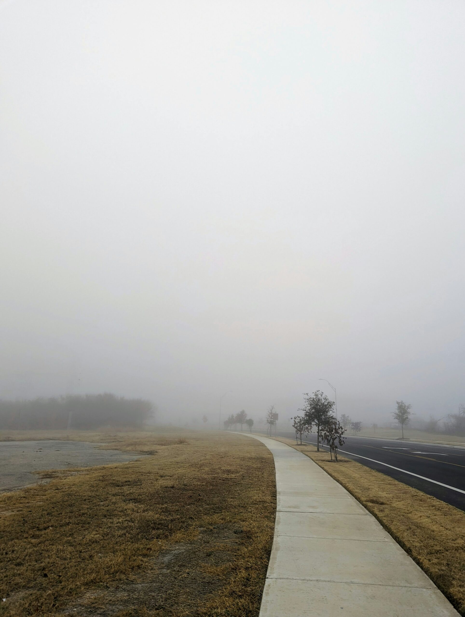 “The Fog”: Unveiling the Ultimate Twist in 21st Century Cinema